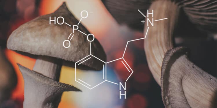 psychedelic-psilocybin-mushroom-molecule-750x375.jpg