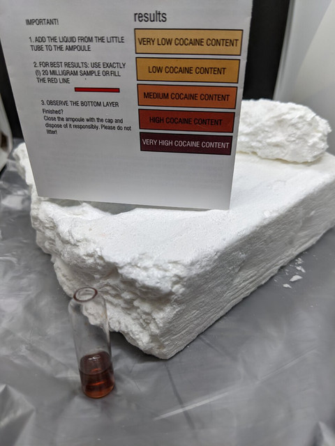 PXL-20230202-204337289.jpg