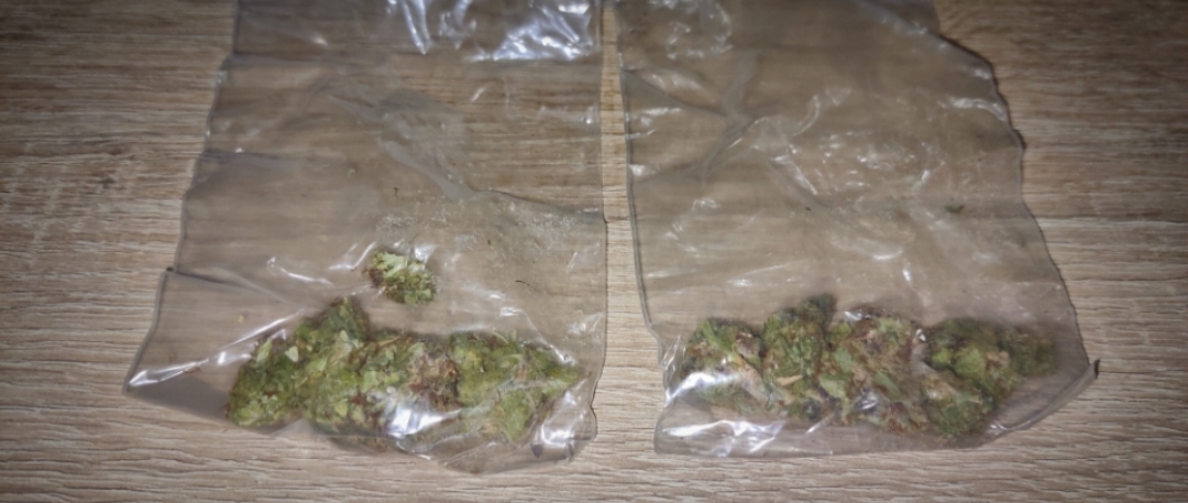 RayTop Og Banana Blaze Kush Trip report na shishki 17.jpg