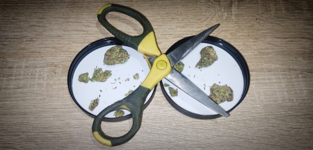 RayTop Og Banana Blaze Kush Trip report na shishki 23.jpg