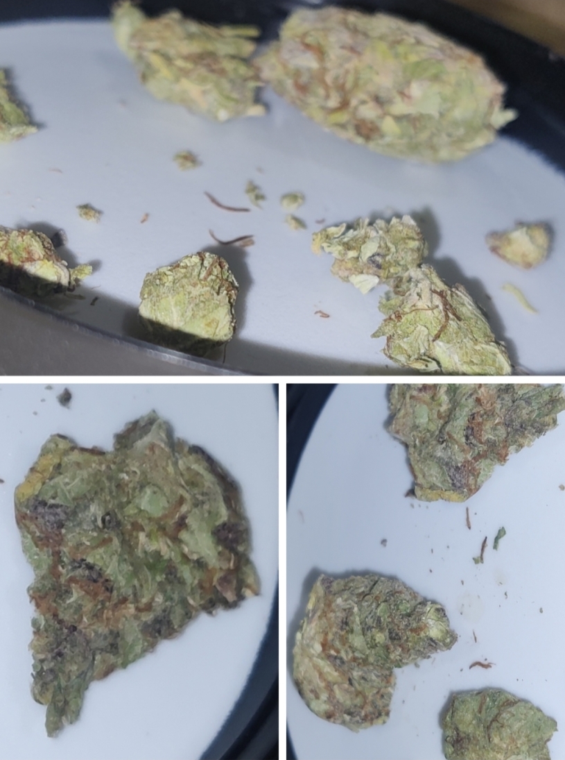 RayTop Og Banana Blaze Kush Trip report na shishki 3 7.jpg