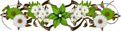resize.png