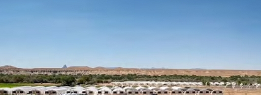 REVEALED Chinese gangs are behind THOUSANDS of illegal weed farms across the US - sparking fea...jpg