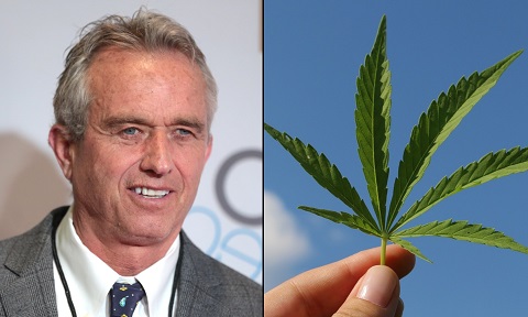 robert-f-kennedy-jr-marijuana.jpg