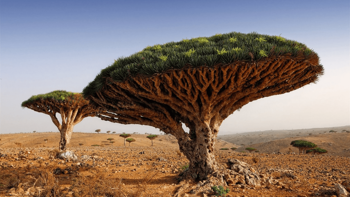 scale_1200.png