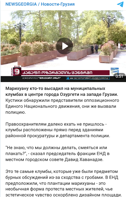 Screenshot 2023-05-03 at 18-12-27 В Грузии перед прокуратурой выросла марихуана.png
