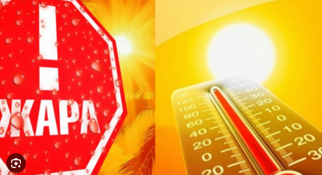 Screenshot 2023-05-16 at 16-00-38 жара – Google Поиск.png