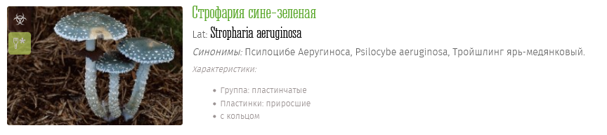 Screenshot 2023-05-25 at 20-25-24 Галлюциногенные грибы фото описания.png