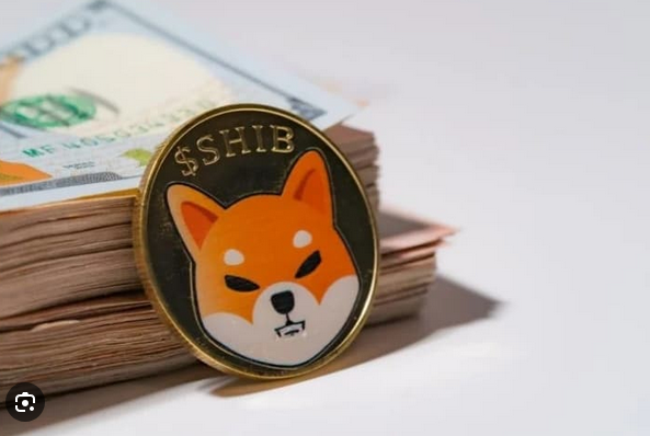 Screenshot 2023-05-28 at 21-17-24 кошельков Shiba Inu (SHIB) – Google Поиск.png