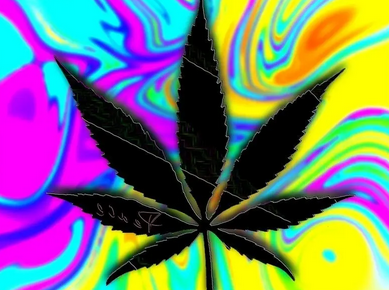 Screenshot 2023-06-15 at 17-25-20 Что нужно знать о курении марихуаны во время психоделическог...png