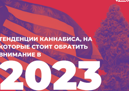 Screenshot 2023-06-16 at 12-56-26 Тенденции каннабиса на которые стоит обратить внимание в 202...png