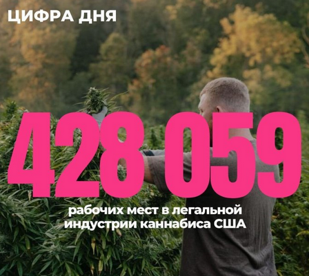 Screenshot 2023-07-04 at 16-17-00 Сколько рабочих мест в легальной индустрии каннабиса в Америке.png
