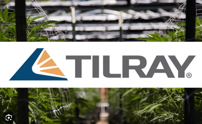 Screenshot 2023-08-10 at 17-19-32 конопляная компания Tilray – Google Поиск.png