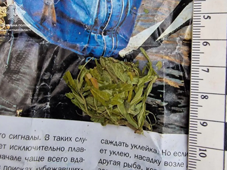 Screenshot 2023-08-17 at 12-27-22 Впіймали на гарячому патрульні затримали ужгородця який розг...png
