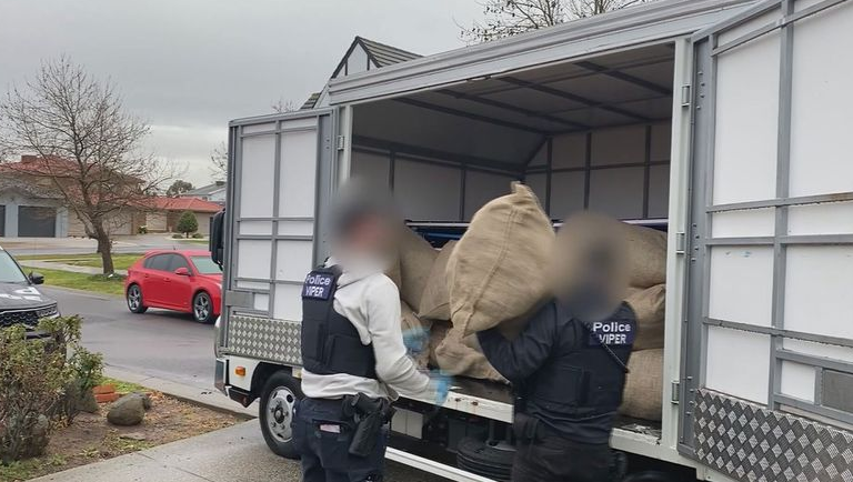 Screenshot 2023-08-25 at 11-05-44 Huge amounts of cash and 700 cannabis plants seized during r...png