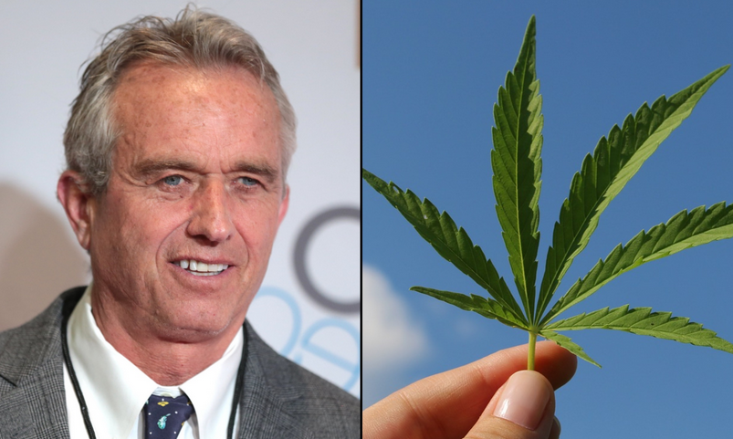Screenshot 2023-08-30 at 11-24-58 Where Presidential Candidate Robert F. Kennedy Jr. Stands On...png