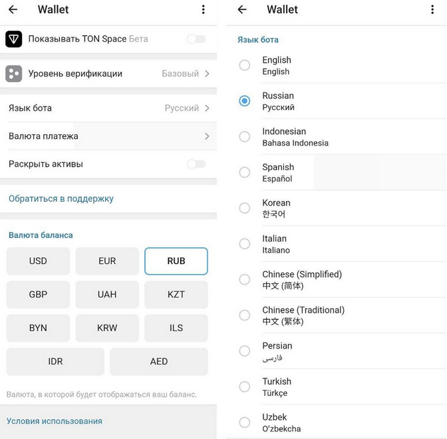 Screenshot 2023-09-17 at 13-07-33 Кошелек для криптовалюты в Telegram как пользоваться.png
