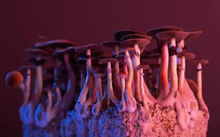 Screenshot 2023-10-05 at 11-26-54 Psilocybin-Based Drug Candidate Gains Patent.png
