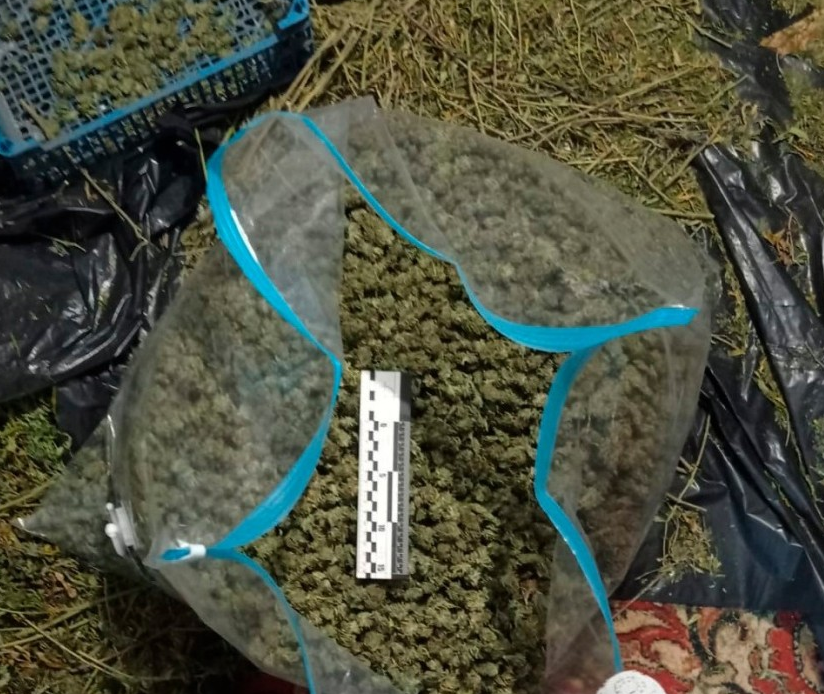 Screenshot 2023-10-16 at 15-45-21 На Кіровоградщині викрили чоловіків які продавали наркотики.png