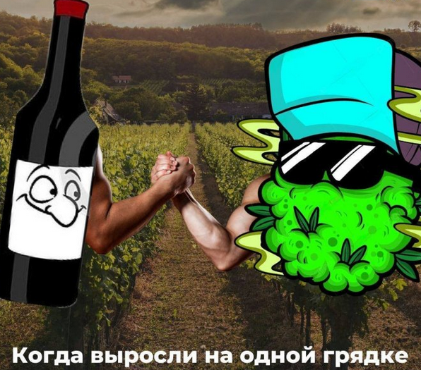 Screenshot 2023-10-22 at 11-14-35 Конопля – новый лучший друг виноделов.png