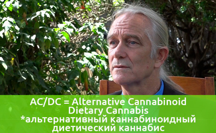 Screenshot 2023-10-30 at 08-24-41 Будет ли эффект если съесть свежую коноплю.png
