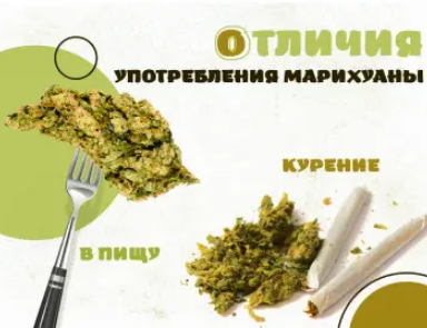 Screenshot 2023-11-03 at 17-29-53 Употреблять в пищу или курить марихуану в чем же разница.png