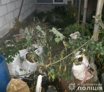 Screenshot 2023-11-13 at 13-54-27 Головне управління Національної поліції у Волинській області.png