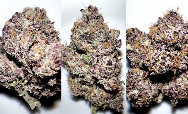 Screenshot 2023-11-13 at 14-25-23 Мнение GoodSativa о выращивании ароматного урожая ИМХО-батл ...png