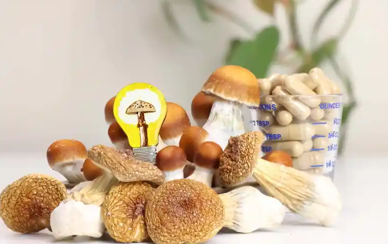 Screenshot 2023-11-22 at 12-01-48 Magic Mushroom Dosing Tips.png