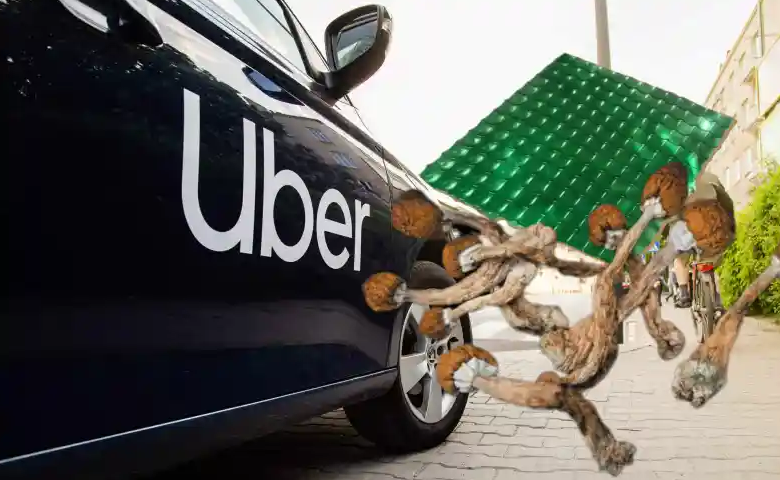 Screenshot 2024-02-29 at 18-02-14 Uber Driver Allegedly Doubled as Shroom LSD Dealer.png