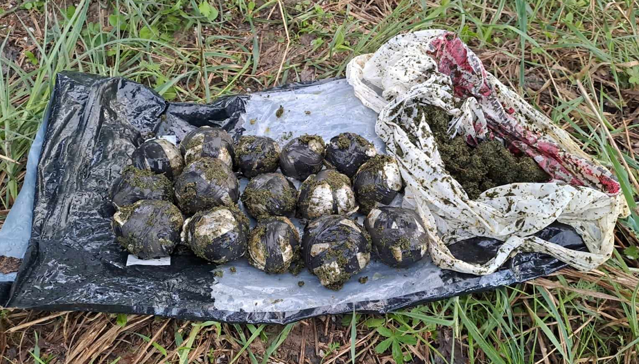 Screenshot 2024-04-05 at 13-49-05 Поблизу кордону прикордонники затримали закарпатця з наркоти...png