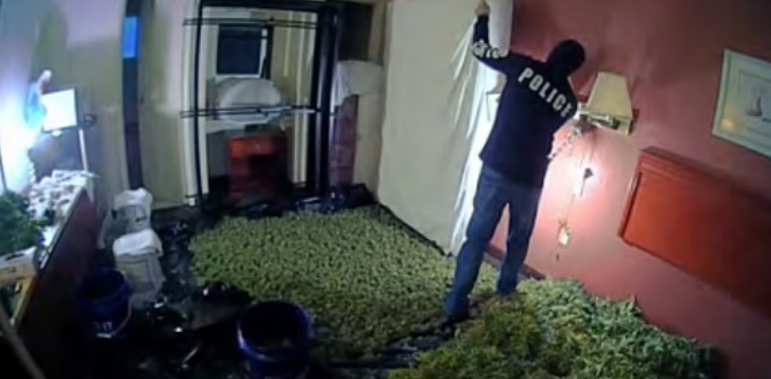 Screenshot 2024-04-19 at 11-16-20 Chinese gangs behind THOUSANDS of illegal weed farms in US.png