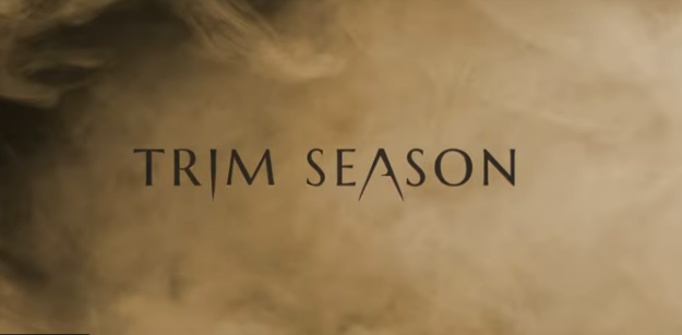 Screenshot 2024-04-24 at 10-48-39 Вышел трейлер фильма ужасов про конопляную ферму Время подре...png