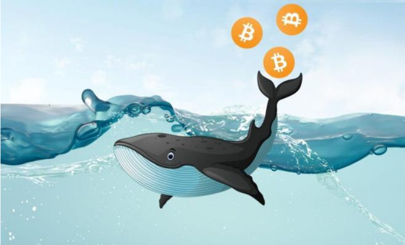 ZyCrypto Киты накопили BTC на $1 миллиард за сутки Bitok.blog.png