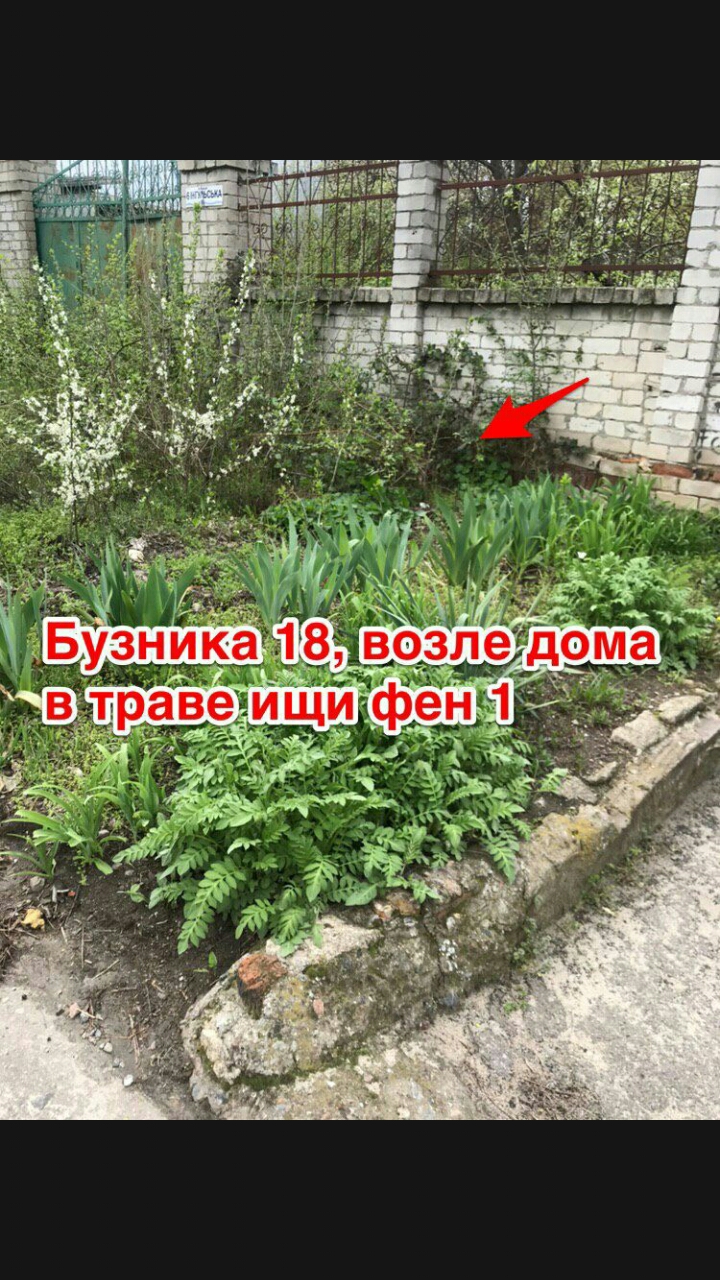 Screenshot_2019-05-30-13-41-39-769.jpeg