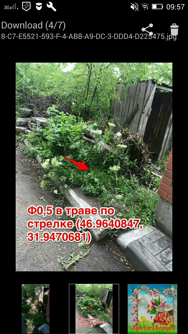 Screenshot_2019-05-30-14-53-05-819.jpeg