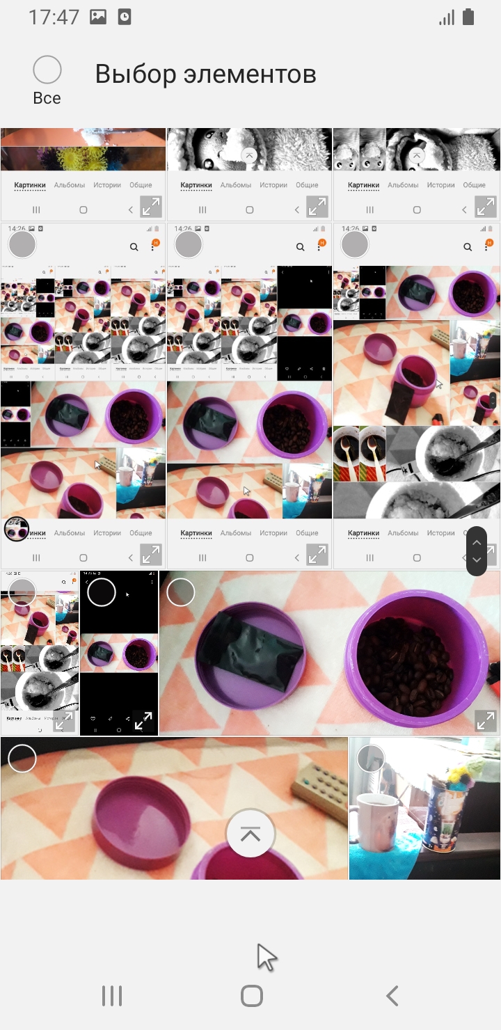 Screenshot_20211017-174731_Gallery.jpg