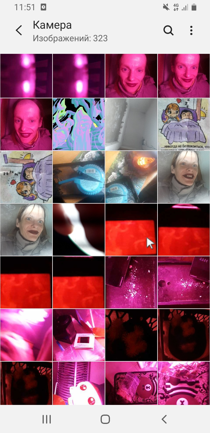 Screenshot_20211028-115125_Gallery.jpg