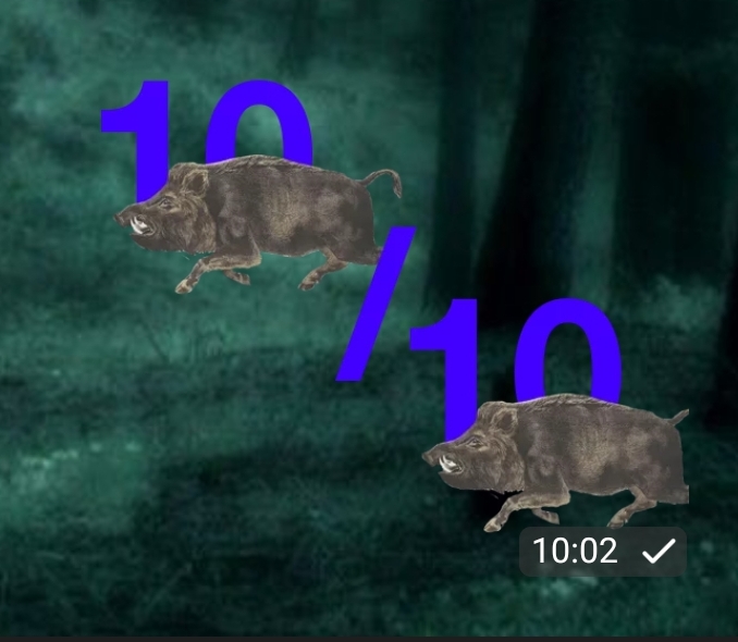 Screenshot_20230713_100106.jpg