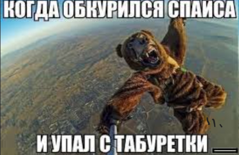Screenshot_20230725_205324.jpg