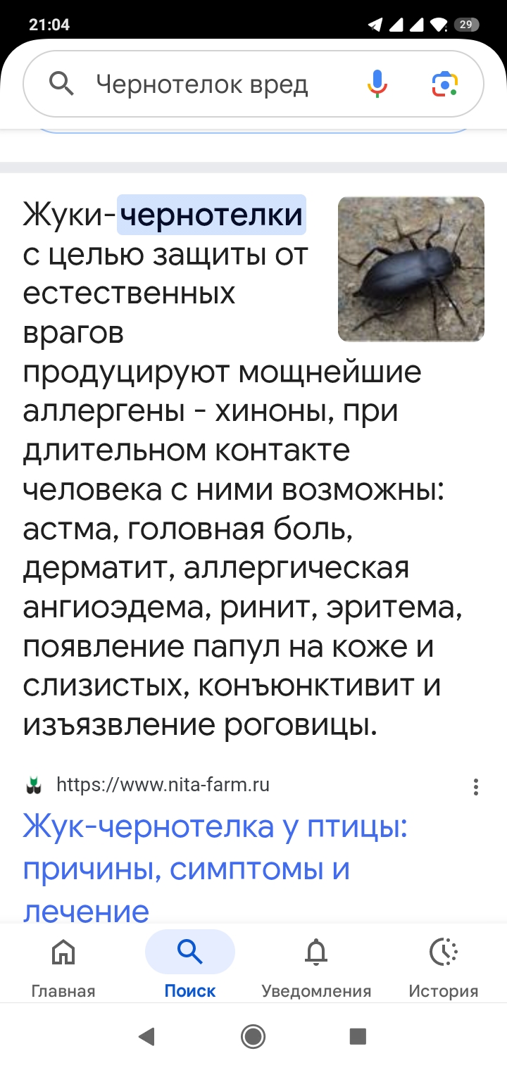 Screenshot_2025-06-01-21-04-20-951_com.google.android.googlequicksearchbox.jpg