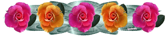 SEPARATEUR-ROSES-2.gif