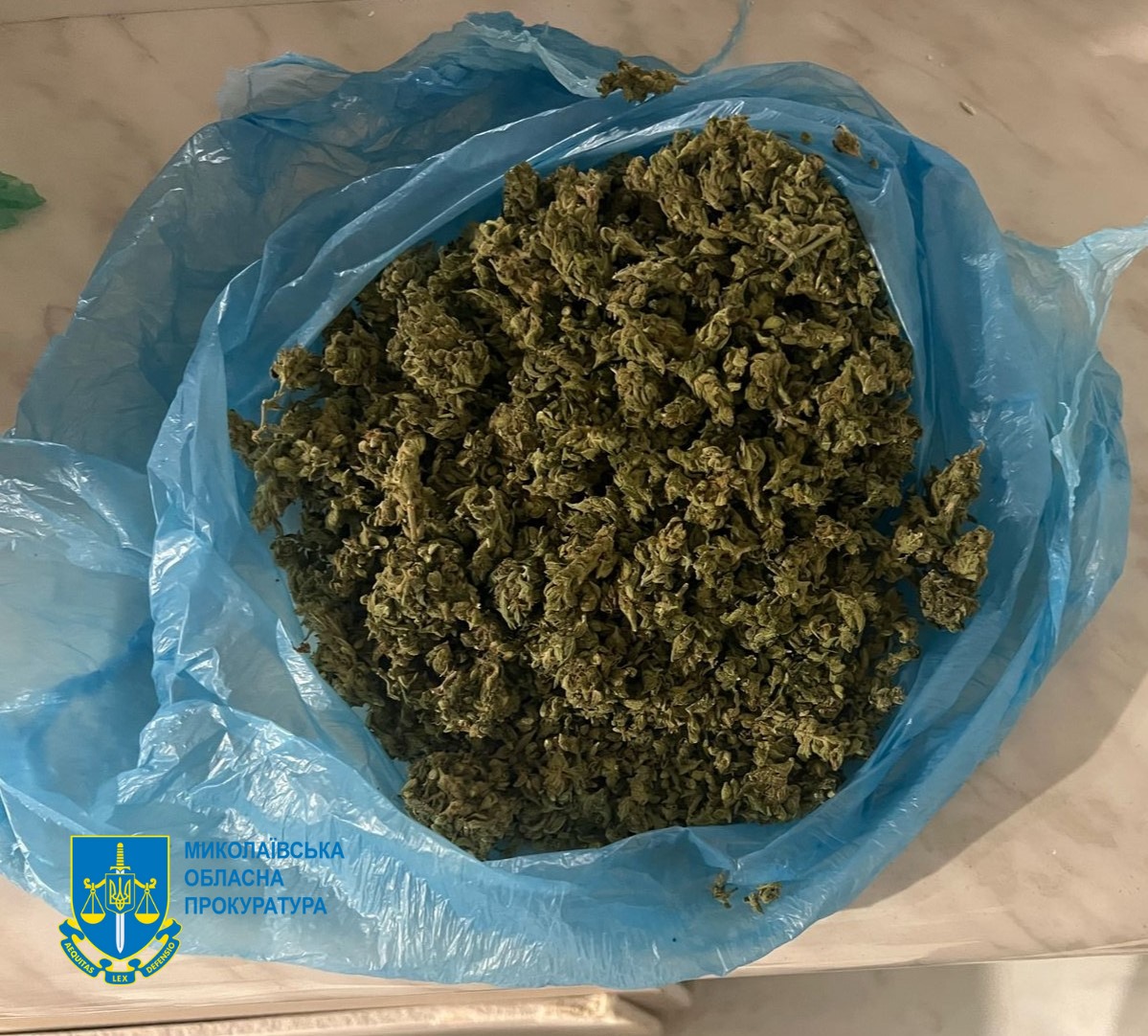 шишки бошки в первомайске.jpg
