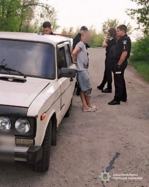 шишки днепр.jpg