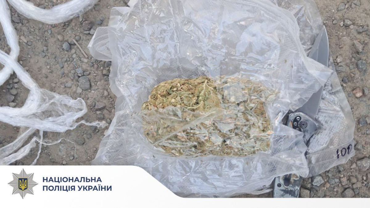 шишки калуш бошки.png