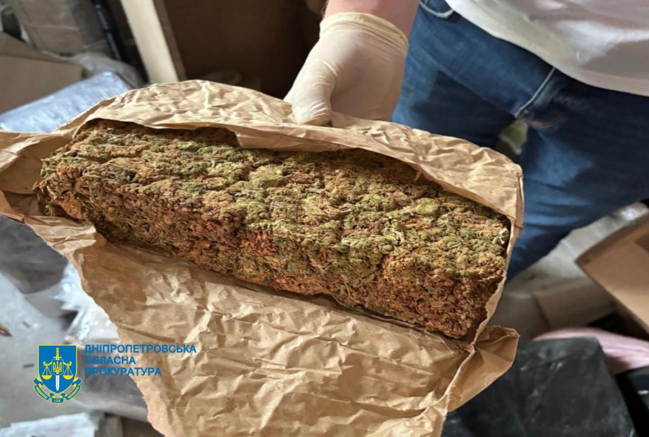 шишки кривой рог.jpg