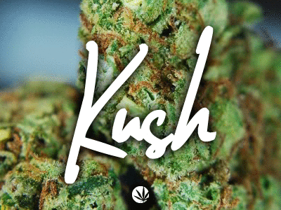 shishki sorta og kush.gif