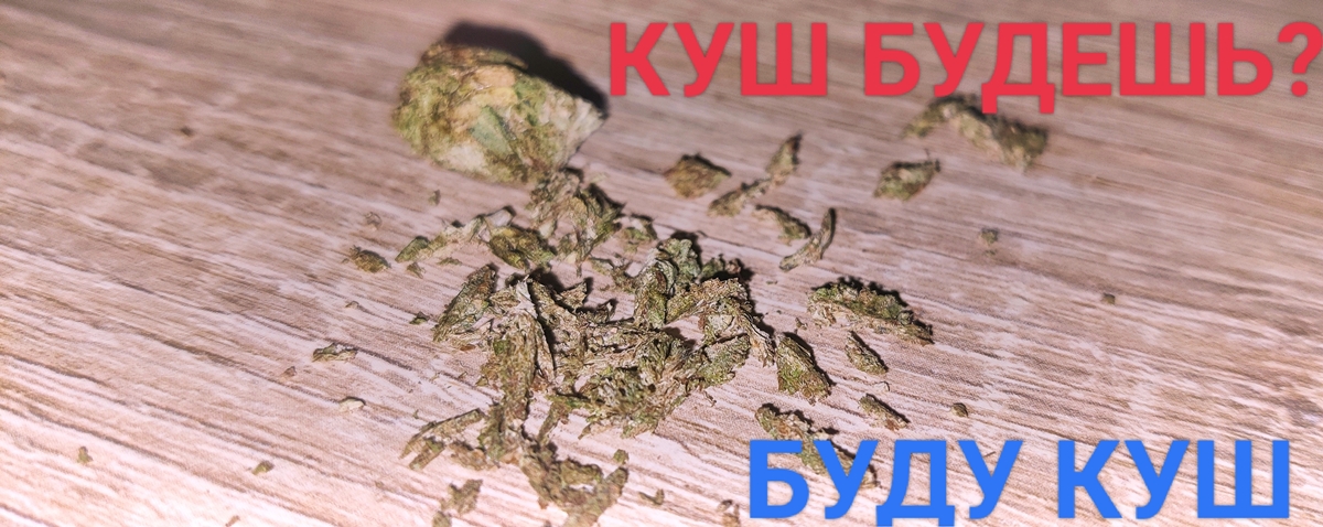 Шишку Куш Будешь - трава в Марокко.jpg