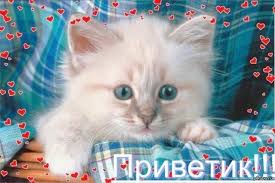 скачанные файлы (1).jpg