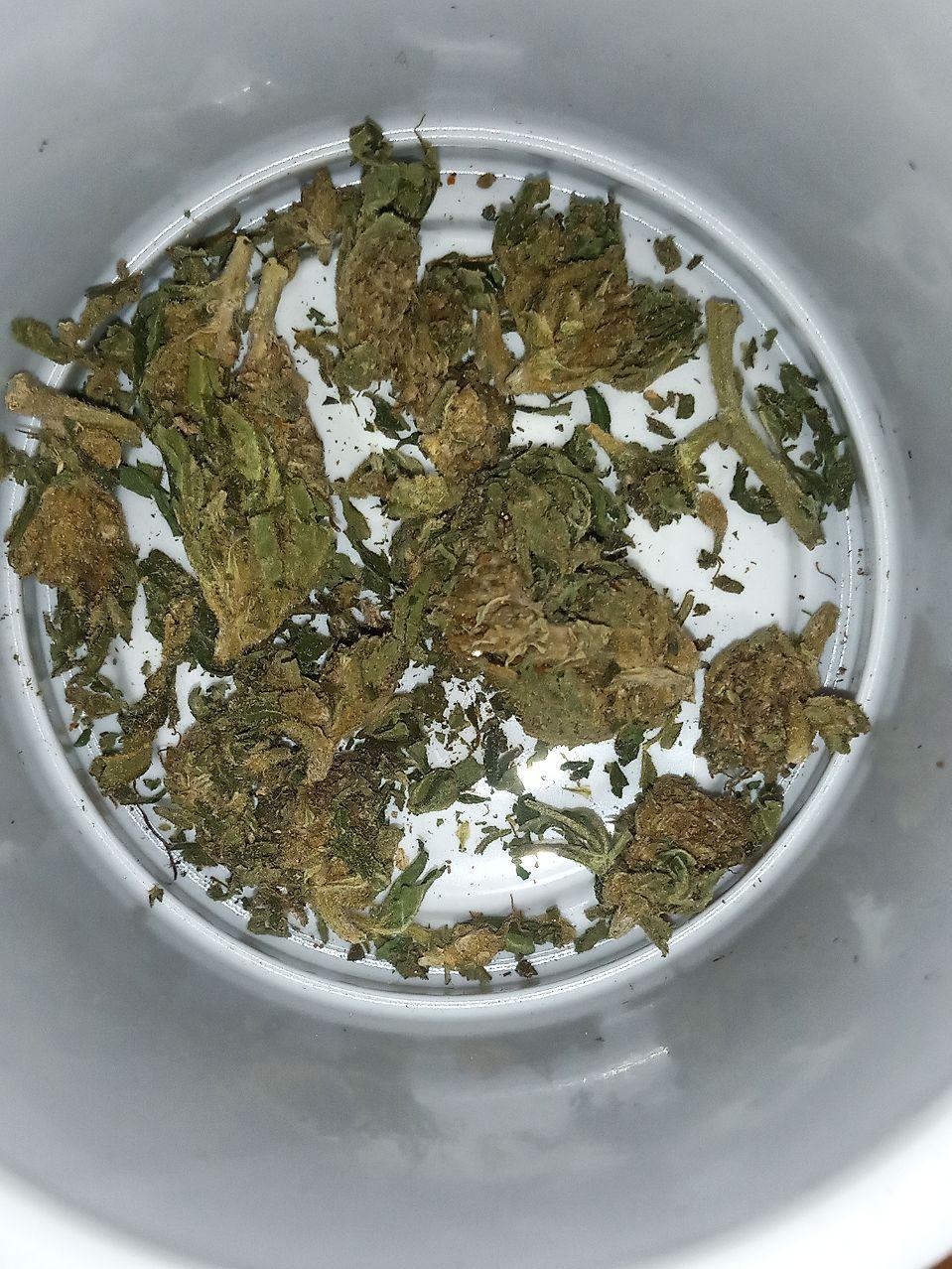 сканк1.jpg